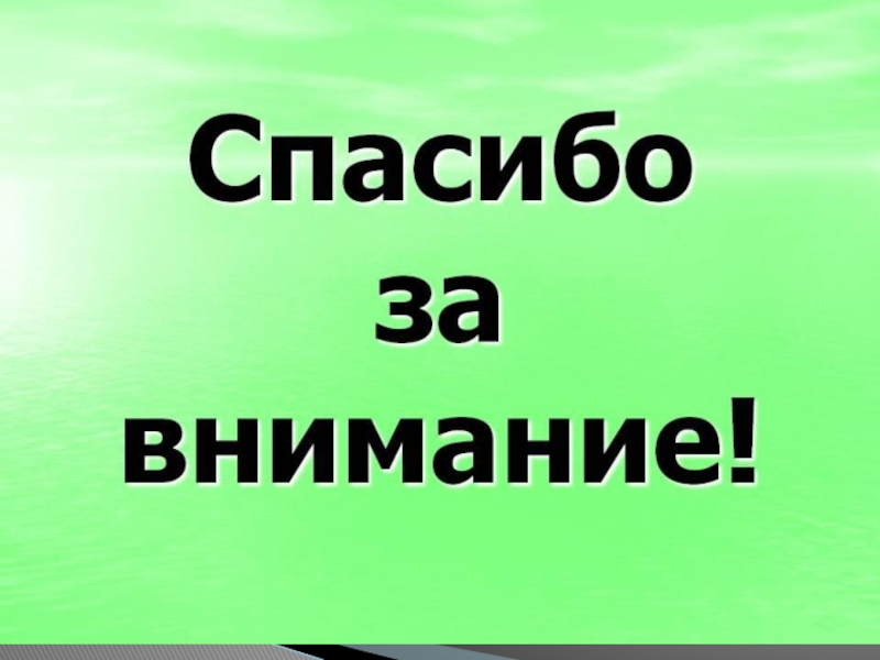 Спасибо за внимание для презентации по окружающему миру