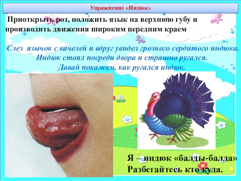 артикуляционная гимнастика индюшата. артикуляционная гимнастика для звука р индюк. упражнение индюк. упражнение индюк. упражнение индюк логопедия.