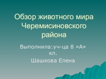 Обзор животного мира в Черемисиновском районе