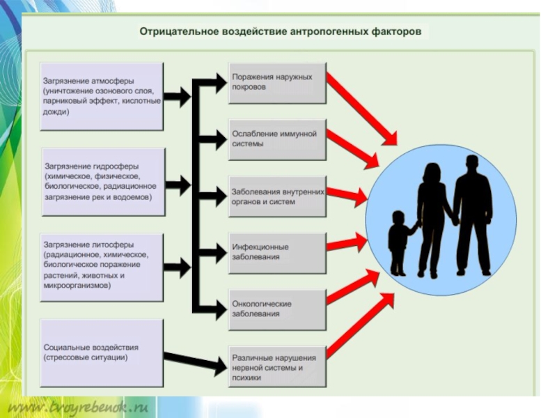 Влияние биосферы на человека схема