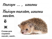 Презентация обучение письму (послебукварный период) на тему Письмо слов с Ё,ё 1 класс