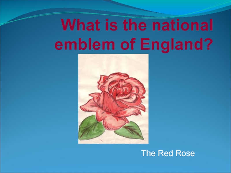 What is the national emblem of England? The Red Rose