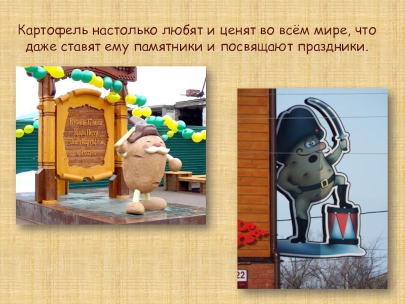 Молодой картофель как отличить. Картофель настолько прочно вошел. Картофель настолько прочно вошел. Сорт картофеля барбара. Картофель настолько прочно вошел.