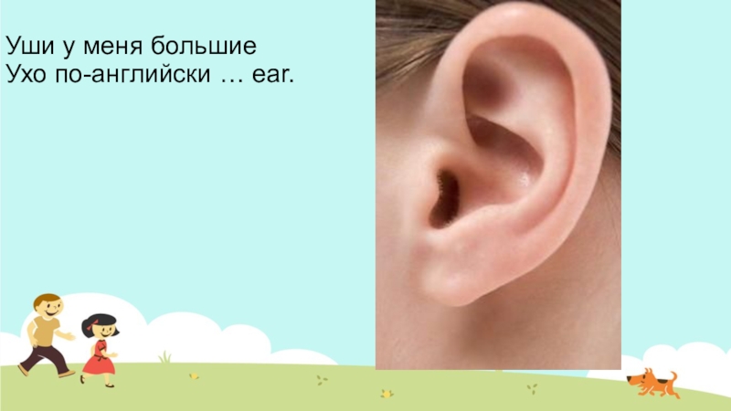 С русского на английский уши