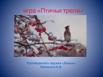 Презентация к уроку Птичьи трели