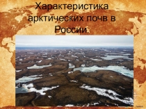 Характеристика типа арктических почв в России