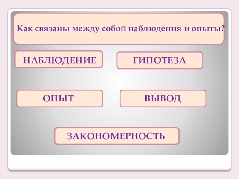 Наблюдение гипотеза. Наблюдения гипотеза опыт вывод. Как связаны между собой. Наблюдение опыт закономерность. Как связаны между собой между собой.