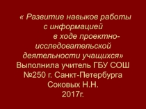 Презентация по технологии Развитие информационных навыков у учащихся в ходе проектной деятельности(9 класс)