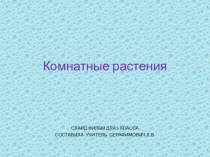 Презентация для 5 класса по теме Комнатные растения