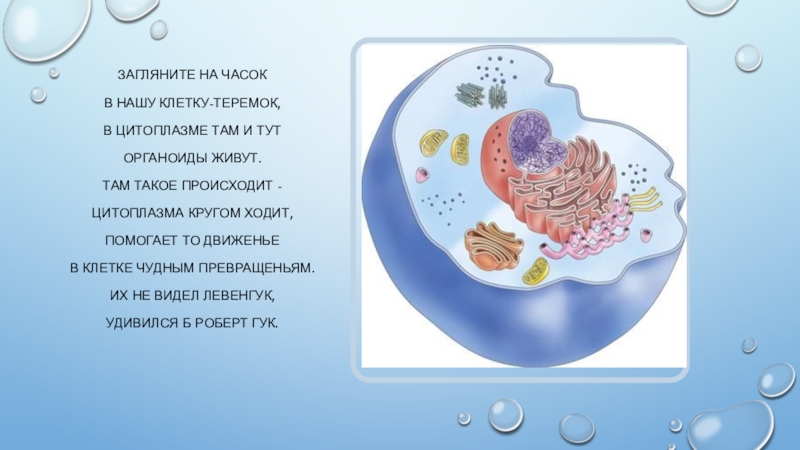 Презентация про оладушки