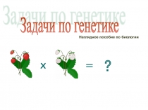 Презентация по биологии задачи по Генетике