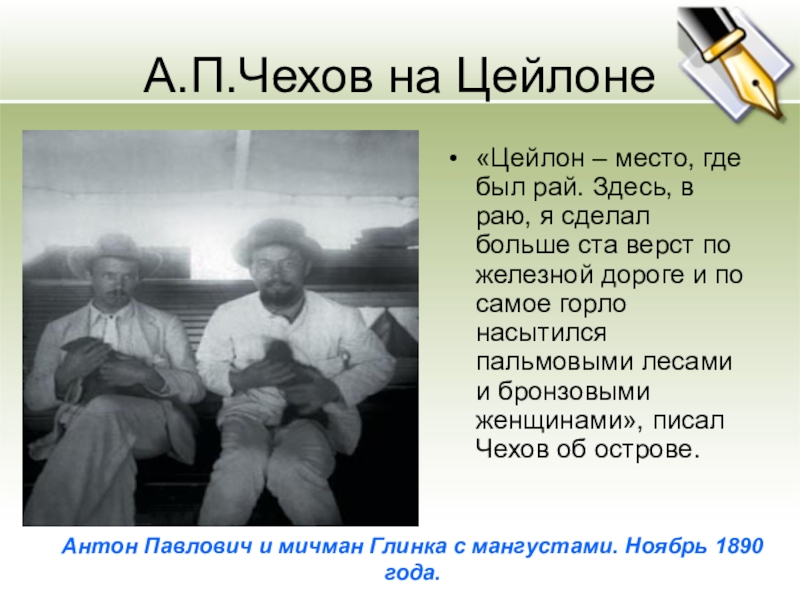 Маршруты чехова. А. П. Чехов на Цейлоне. Антон Павлович Чехов Мангуст. Антон Чехов и Мичман Глинка с мангустами. Чехов с мангустами.