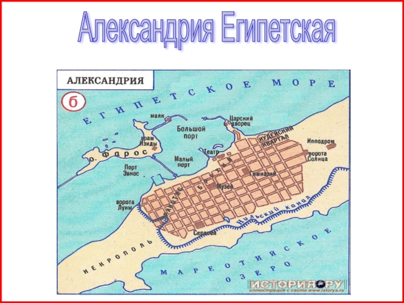 Александрия египетская карта