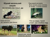 Презентация урока по окружающему миру на тему Звери-млекопитающие