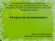 Презентация Огород на подоконнике