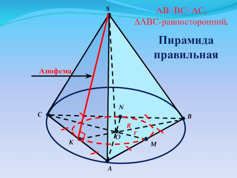 Равносторонний конус. Пирамида геометрия апофема. Пирамида 10 класс апофема. Апофема это в геометрии. Апофема планиметрия.