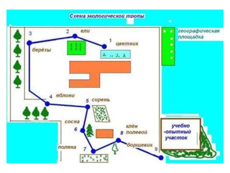 План схема экологической тропы