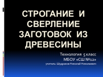 Презентация по технологии Строгание и сверление заготовок из древесины (5 класс)