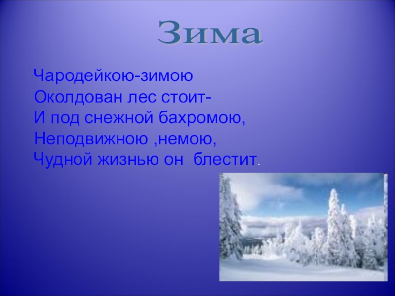 Чародейкою зимою околдован. Чародейкою зимою синквейн. Презентация времена года зима. Презентация времена года декабрь. Синквейн Тютчев Чародейкою зимою.