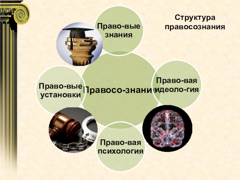 Правосознание структура