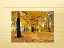 Презентация по немецкому языку к уроку  На улице листопад