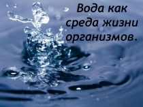 Презентация по биологии Вода как среда жизни