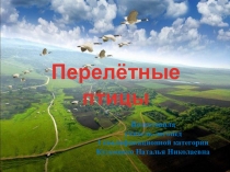 Презентация по теме Перелётные птицы