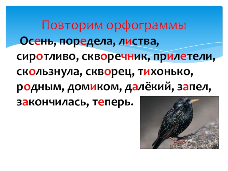 Проверочное слово к слову скворец 3 класс