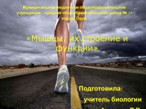 Презентация к уроку Мышцы