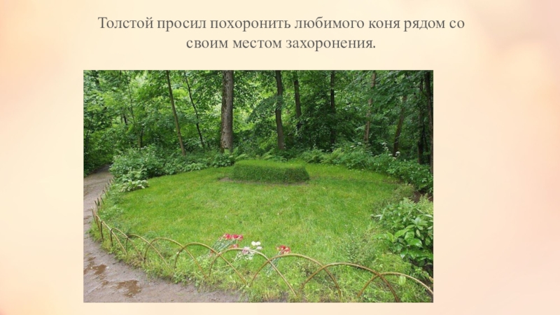 Толстой где. Где похоронен Лев толстой. Могила Толстого в Ясная Поляна презентация. Где захоронен Лев толстой. Могила Толстого в Ясной Поляне на карте.