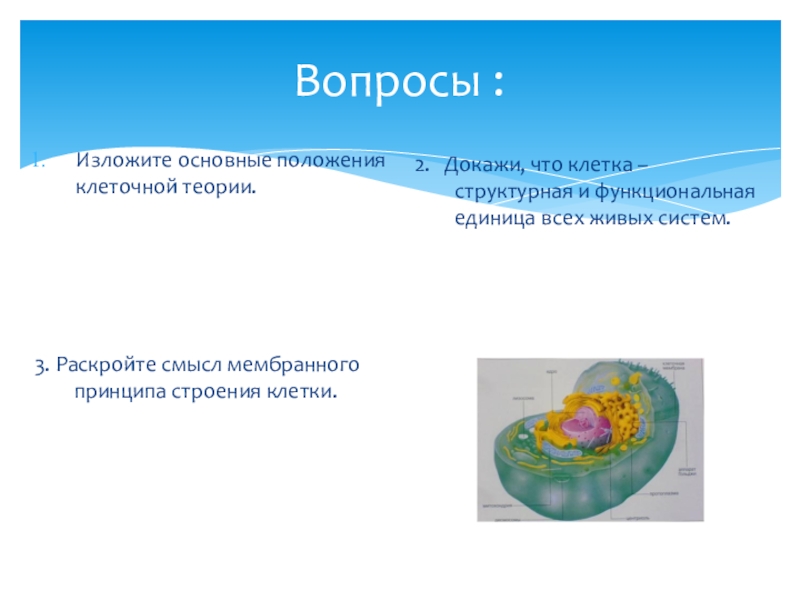 Клетка структурная и функциональная единица. Мембранный принцип строения клетки. Докажите что клетка структурная и функциональная единица живого. Основные положения клетка основная структурная единица строения. Доказать что клетка функциональная единица.