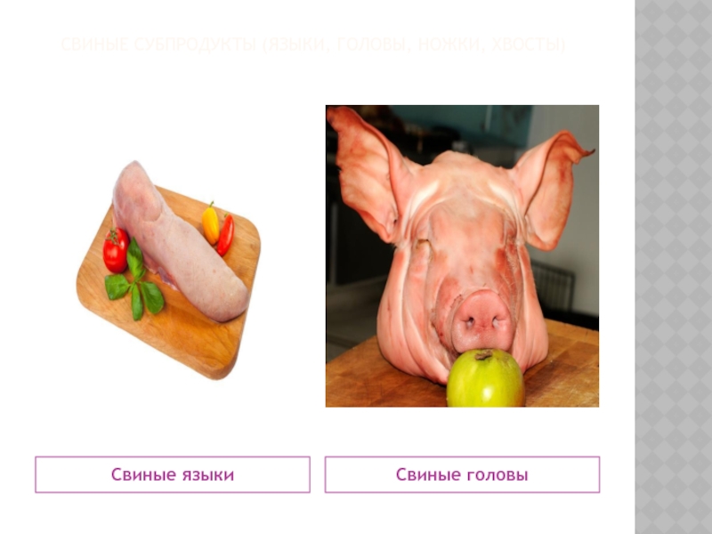Русский язык свиней
