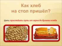 Презентация по окружающему миру на тему Как хлеб на стол пришёл?(2класс)