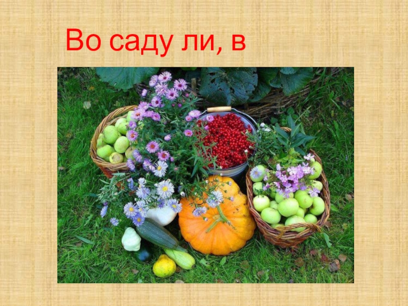 Во саду ли. Во саду ли, в огороде. Во саду ли в огороде надпись. Название выставки про сад и огород. Во саду ли в огороде для детей.