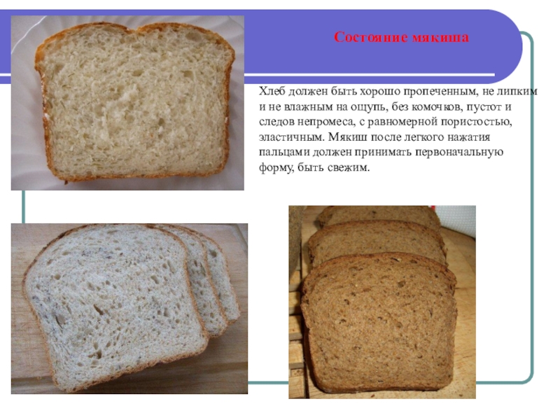 Что внутри хлеба. Состояние мякиша. Разновидности хлеба. Виды мякишей хлеба. Форма для хлеба.