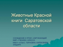Презентация к уроку Окружающий мир на темуКрасная книга