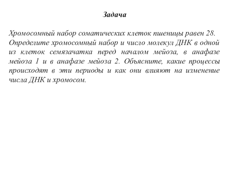 Хромосомный набор соматических клеток пшеницы