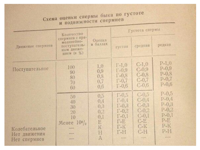 Журнал искусственного осеменения запуска и отелов коров образец