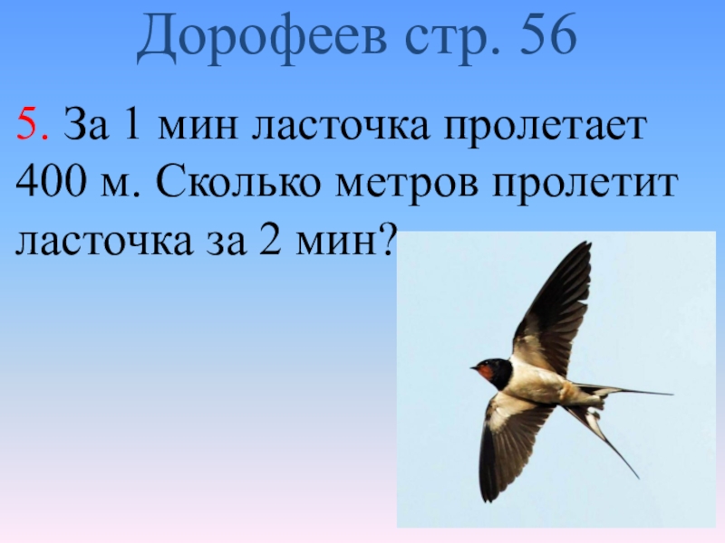 Сколько метров пролетела. Сколько метров Ласточка. Сколько пролетает Ласточка. Скорость ласточки за минуту. За 1 мин Ласточка пролетает 400 м сколько.