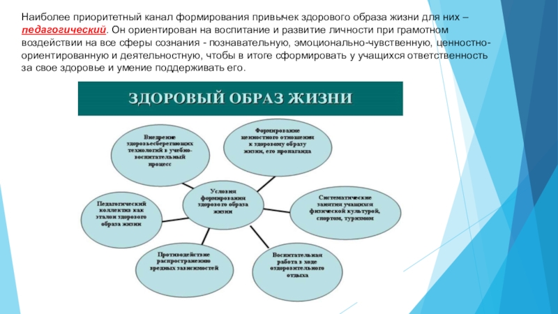 Укажите наиболее приоритетное. Формирование привычки к здоровому образу жизни. Формирование привычки. За счёт чего происходит формирование привычек здорового образа жизни. Наиболее влияние на формирование здорового.