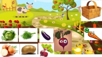 Окружающий мир презентацию Овощи на огороде