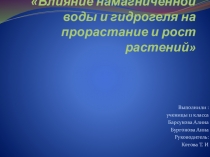 Презентация Влияние намагниченной воды и гидрогеля на прорастание и рост растений