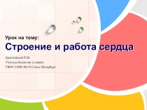 Презентация по биологии на тему Строение и работа сердца (8 класс)