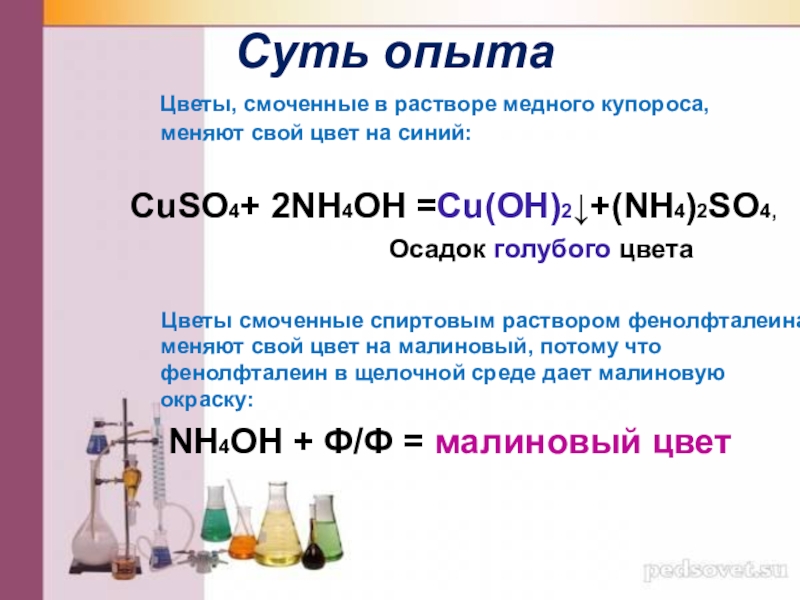 Сульфат меди среда раствора. Nh4oh цвет. Cuso4 nh4oh. Nh4oh фенолфталеин. Nh3 фенолфталеин nh4cl.