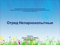 Презентация по биологии Непарнокопытные