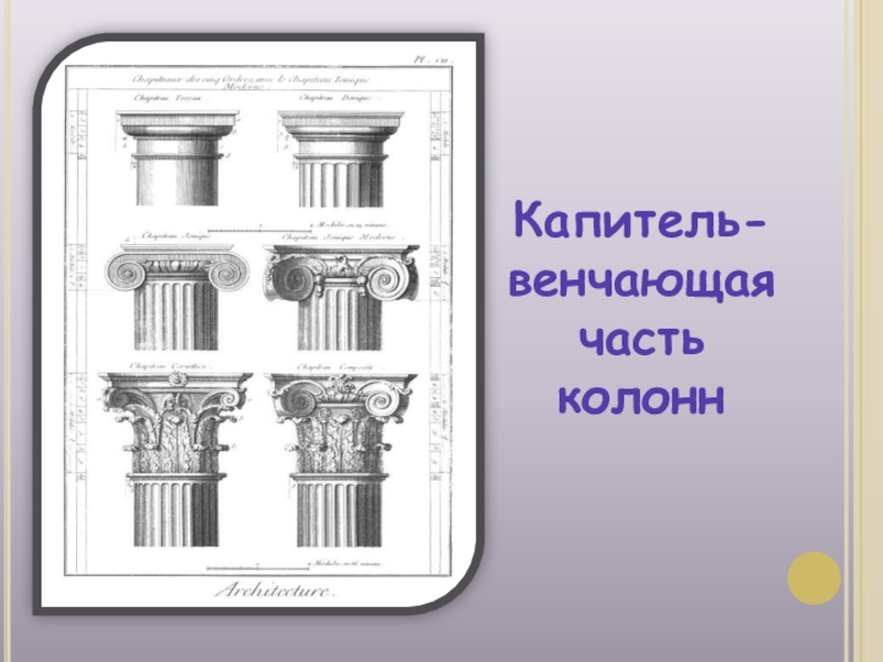 Как называется часть колонны изображенная на рисунке