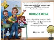 Проектная рпбота на тему Польза лука