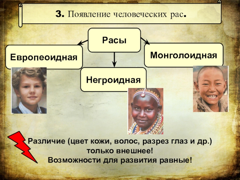 Европеоидная монголоидная негроидная раса