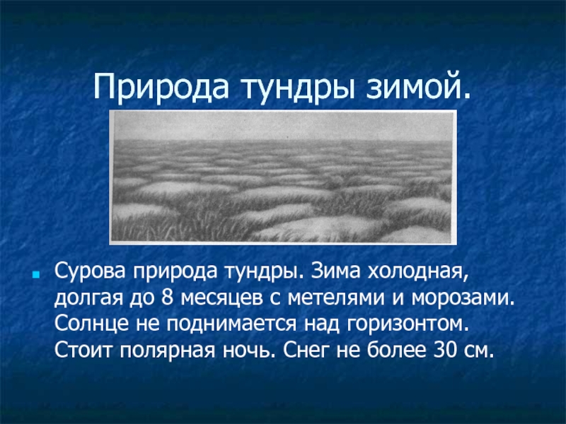 Использование природы данной зоны человеком в тундре