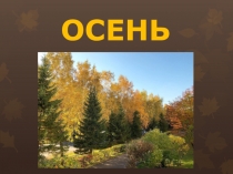 Презентация подготовительная группа Осень